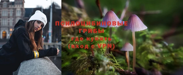 apvp Балабаново