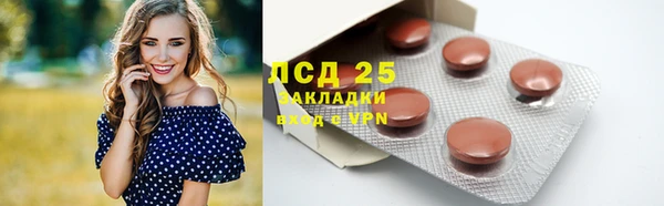 прущие грибы Баксан