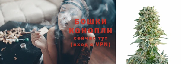 шишки Елабуга
