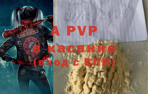 прущие грибы Пересвет