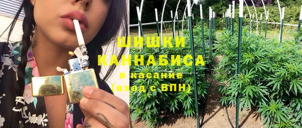 прущие грибы Баксан