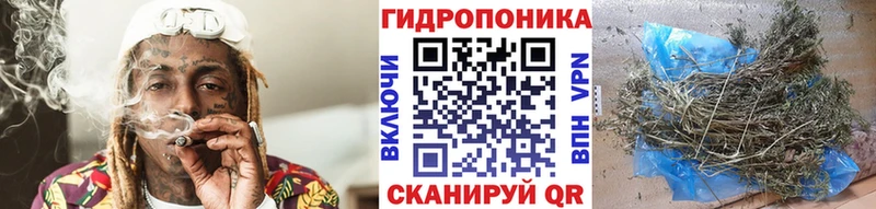 Каннабис планчик  Буйнакск 